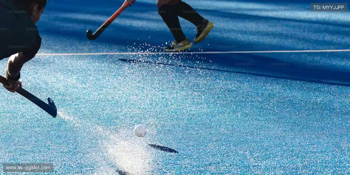 专业周边,品质之选!🎾